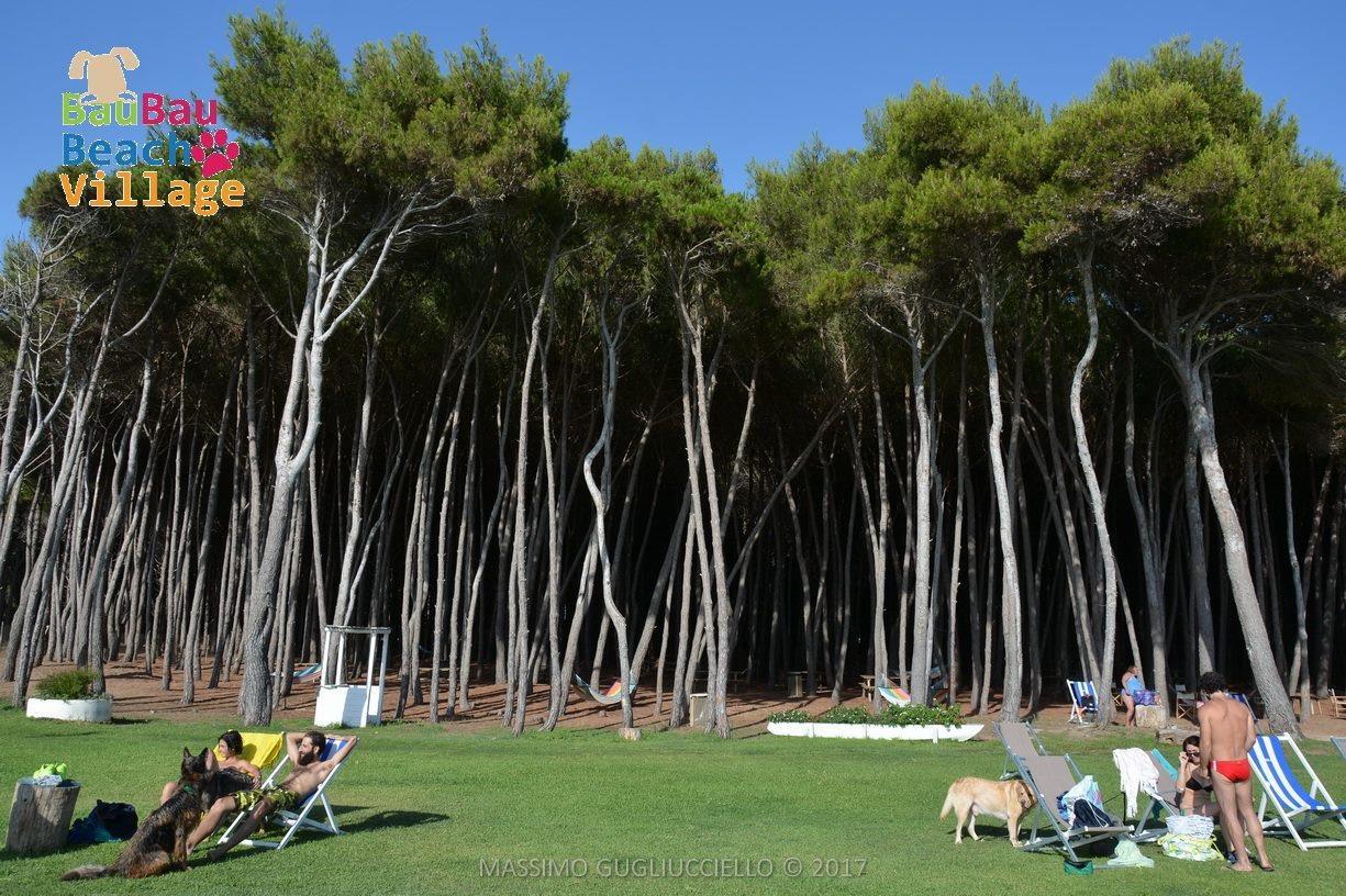 Bau Bau Beach Village Foce del Sele Bagian luar foto
