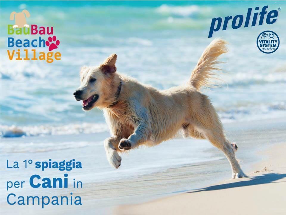Bau Bau Beach Village Foce del Sele Bagian luar foto