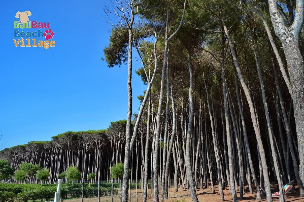 Bau Bau Beach Village Foce del Sele Bagian luar foto